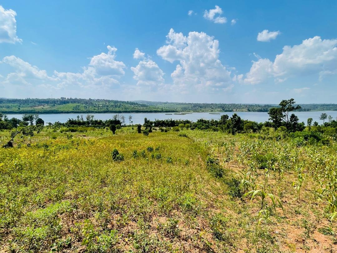 land near lake